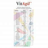 VitAgil 30 Tablet  Multivitamin + Multimineral - 2