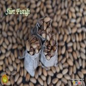 Tigem Siirt Fıstığı 500 gr - 2