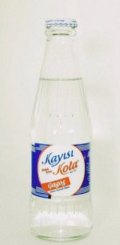 KAYISI KOLA BEYAZ(24lü) - 1