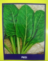 Pazı Sebze Tohumu 20 gr - 1