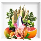 Thierry Mugler Angel Eau Croisiere EDT 50 ml Kadın Parfümü - 4