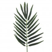 5 Adet Palmiye Ağacı Yaprağı 32x22cm Yapay - 2