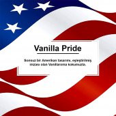 Little Trees Amerikan Bayraklı Vanilla Pride Oto Kokusu 24 Adet - 4