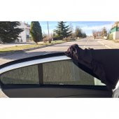 Araba Araç Oto Yan Cam Güneşlik Örtü Perde Kılıf Güneşliği - 3