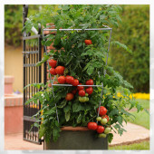 20 Adet Domates Kafesi Domates Teli 74 Cm Bitki Tırmanma Kafesi Bitki ve Çiçek Teli - 1