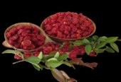YER KİRAZI 1000 GR (1.KALİTE ) (YENİ KURUYEMİŞ) - 1