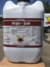 ALGA-ŞAH 20.-LT - 1