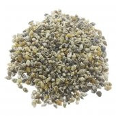 1kg Nassa Shell Deniz Kabuğu - 2