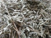 ADAÇAYI 250 GR - 1