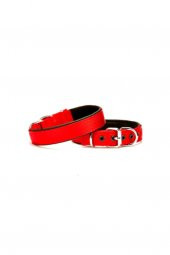 Doggie Konforlu Köpek Boyun Tasması 2,5X42-50Cm - Kırmızı-Dsbt2510L - 1