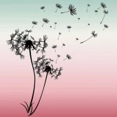 Baskılı Fon Perde Pembe Yeşil Ombre Siyah Karahindiba Desenli - 6