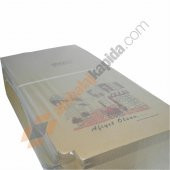 PİZZA KUTUSU 29x29x3,5 CM 100LÜ PAKET - 2