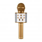 Karaoke Mikrofon WS-858 - 2