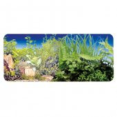 Chicos 40 cm Bitki-Bitki 9065/9051 Plastik Poster - 1