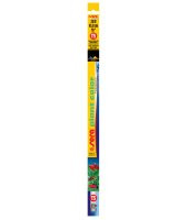 Sera T5 Plant Color 24W - 1