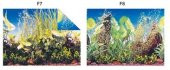 Kw Zone Plastik Poster 30 cm 15 mAkvaryum Arka Posteri - 2