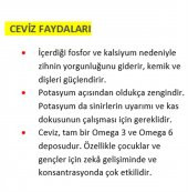 Kabuklu Ceviz 500 gr thumbnail 3