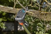 Gardena 12000 StarCut 160 Plus Yüksek Dal Makası - 5