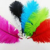 DEVE KUŞU TÜYÜ ÇEŞİTLERİ 40-45 CM LİK thumbnail 1