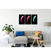 3 lü Tüy Seti Kanvas Tablo (3 parça 50x70cm herbiri) - 1