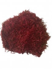 FLORALMOSS Kırmızı Boyalı Doğal Kara Yosunu 500 gr. - 1