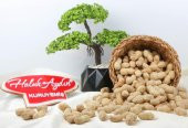 Haluk Aydın Kuruyemiş Kabuklu Tuzsuz Fıstık 500 G - 2