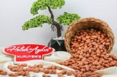 Haluk Aydın Kuruyemiş Çiğ Fıstık İçi 1 KG - 2