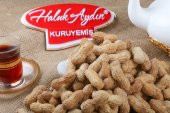 Haluk Aydın Kuruyemiş Kabuklu Tuzlu Fıstık 1 KG - 1