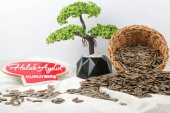 Haluk Aydın Kuruyemiş Yerli Çiğ Siyah Ay Çekirdeği 500 G - 2