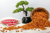 Haluk Aydın Kuruyemiş Soslu Mısır 500 Gr - 2