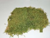 FLORALMOSS DOĞAL AĞAÇ VE KAYA YOSUNU 1 KG. - 1