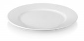 Plastport Kırılmaz Düz Tabak 28 cm - 100 Adet - 2