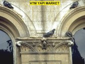 (10 ADET- 5 Mt. ) Kuş Kovucu Kuş Kovar Kuşkonmaz Kuşkovar Diken - 3