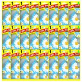 Little Trees Daisy Chain Papatya Aromalı Oto Kokusu 24 Adet - 1