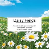 Little Trees Daisy Chain Papatya Aromalı Oto Kokusu 3 Adet - 4