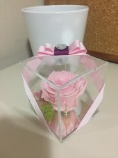 Cam Pleksi İçinde Pembe Solmayan Gül - 2