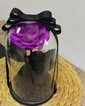 Cam Fanusta Violent Mor Solmayan Gül - 3