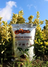 Vermisafa Organik Katı Solucan Gübresi 2kg - 4