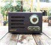 Looptone DSY-HR08 Retro Radyo Ceviz - 4