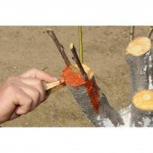 GMT EKS Aşı ve Budama Macunu 500 Gr 2 Adet thumbnail 3