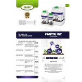 Gmt Provital Mix 1 Lt - 3