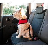 Kedi Köpek Araç Emniyet Kemeri Tasması Ayarlanabilir Araba Evcil Hayvan Oto Tasması Siyah - 3