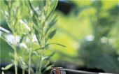 Gardena 8310-20 Son Damlatıcı Basınç Dengeleme 2L/S 10 lu Paket - 5