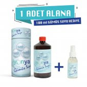 1Lt Gümüş Suyu 100ml Gümüş Suyu Hediye - 1