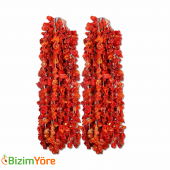 Kurutulmuş Dolmalık Biber 1 Bağ ( 50 Adet ) - 1