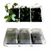 Çiçek Yetiştirme Kiti (Tip7) - 2