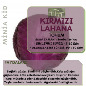 Sebze Yetiştirme Kiti (Kara Lahana) - 3