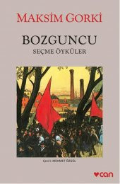 Bozguncu - 1