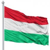Macaristan Bayrağı 30X45CM. - 1