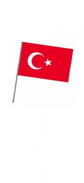 Sopalı Türk Bayrağı 20x30cm. - 3